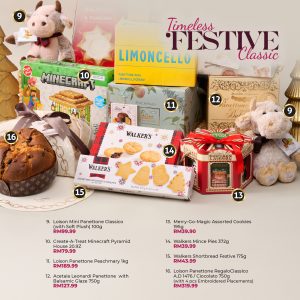 SOCIAL MEDIA_FESTIVE 2